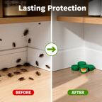 RapidShield™ — End Cockroach Fear Fast and Take Back Your Peace of Mind
