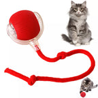 PulsePounce™ — Ignite Your Cat’s Wild Instincts for Hours of Thrilling Play and Healthier Teeth