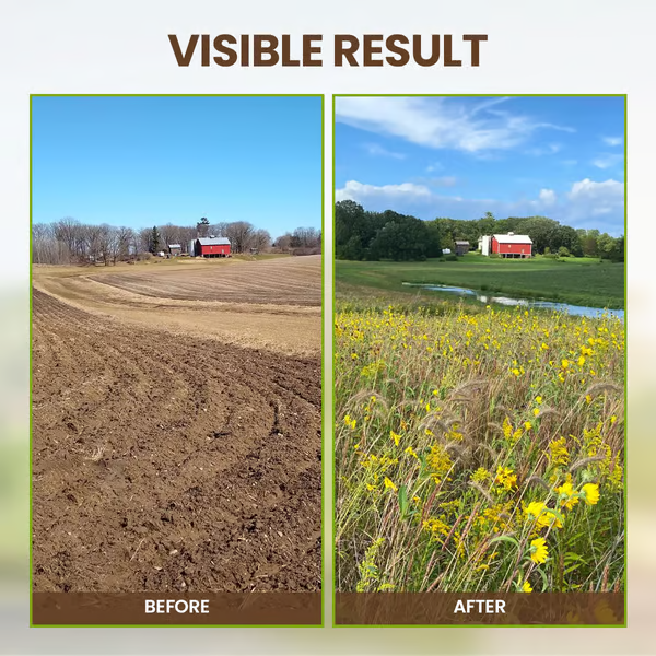 TerraPulse™ Soil Reviver — Ignite Explosive Growth with Soil That Feeds, Drains, and Thrives