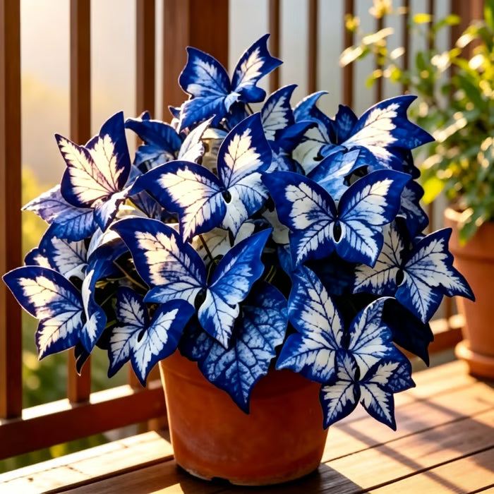 VerdureVibe™ Rare Hosta Seeds — Turn Shady Spots into Your Own Lush, Vibrant Garden Escape