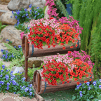 VivaFlora™ — Endless Blooming Beauty That Brightens Every Day Without Effort