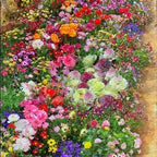 BloomBurst™ — Ignite Your Garden with Vibrant Blooms That Captivate Every Season