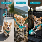Aquapet™ — Hydrate Your Pup Instantly, Anywhere You Go