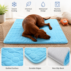 GlacierPaw™ — Ultimate Cool Comfort That Turns Heat Into Happy Calm