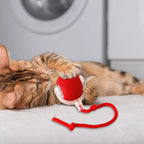 PulsePounce™ — Ignite Your Cat’s Wild Instincts for Hours of Thrilling Play and Healthier Teeth