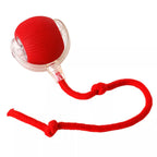 PulsePounce™ — Ignite Your Cat’s Wild Instincts for Hours of Thrilling Play and Healthier Teeth