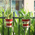 Lumecrest™ — Make Your Plants the Center of Attention Without the Hassle