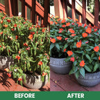 VitaRoot™ — Unlock Rapid, Lush Growth with Effortless, All-Natural Feeding