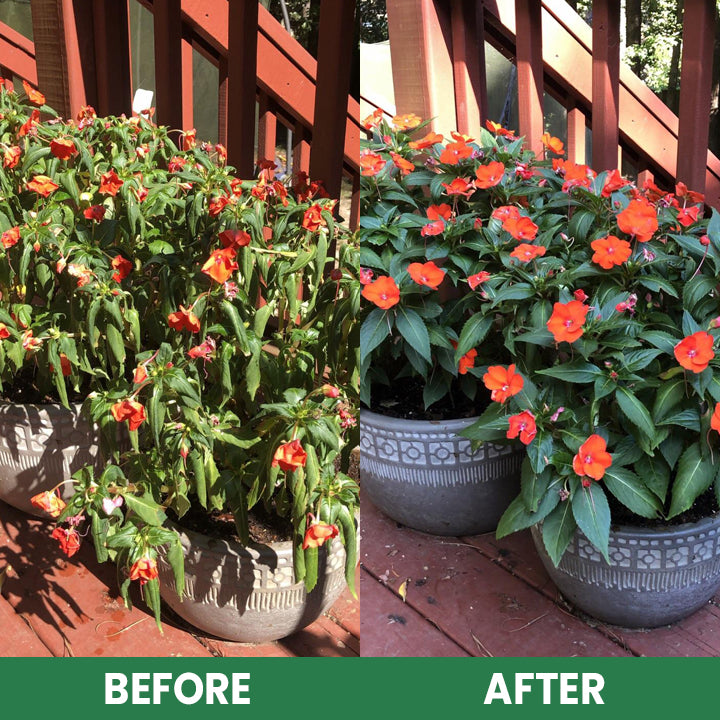 VitaRoot™ — Unlock Rapid, Lush Growth with Effortless, All-Natural Feeding