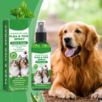 ProtectraMist™ — Instantly Soothe Itchy Skin and Keep Pesky Pests Far Away