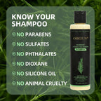 RamoraRoot™ — Unlock Thick, Lush Hair That Feels Alive and Strong Every Day