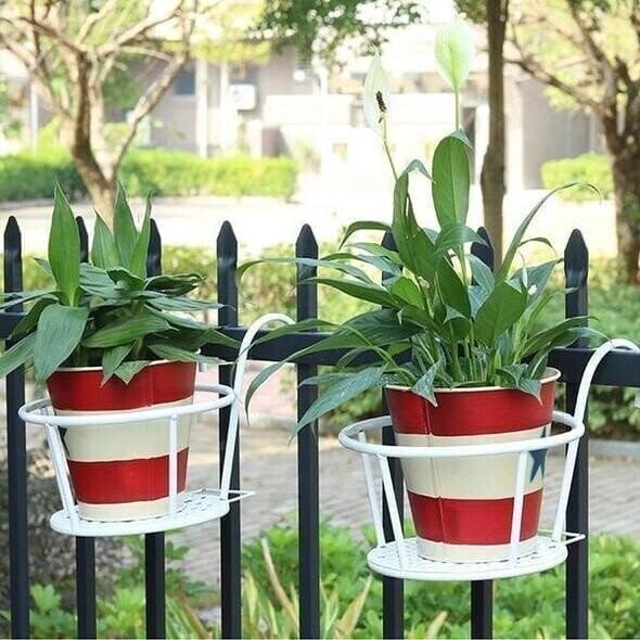 Lumecrest™ — Make Your Plants the Center of Attention Without the Hassle