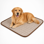 GlacierPaw™ — Ultimate Cool Comfort That Turns Heat Into Happy Calm