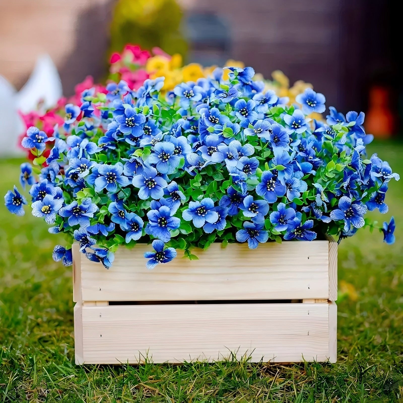 VivaFlora™ — Endless Blooming Beauty That Brightens Every Day Without Effort