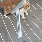 FurAwayPro™ — Effortless Pet Hair Removal That Leaves Your Home Smooth and Spotless