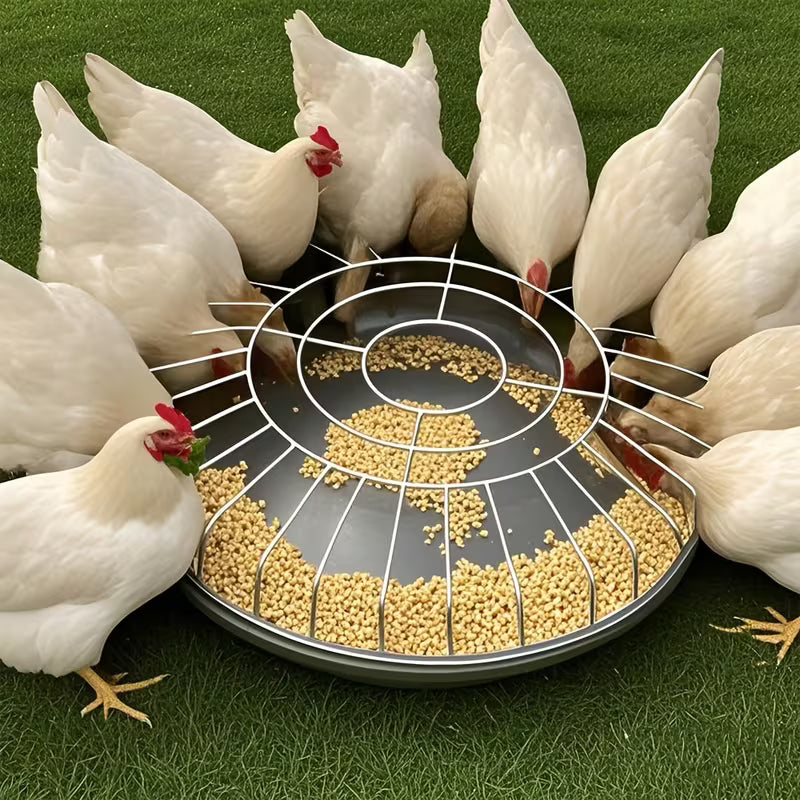 AviFeast™ — Bring Peace, Order, and Plenty to Every Bird’s Meal