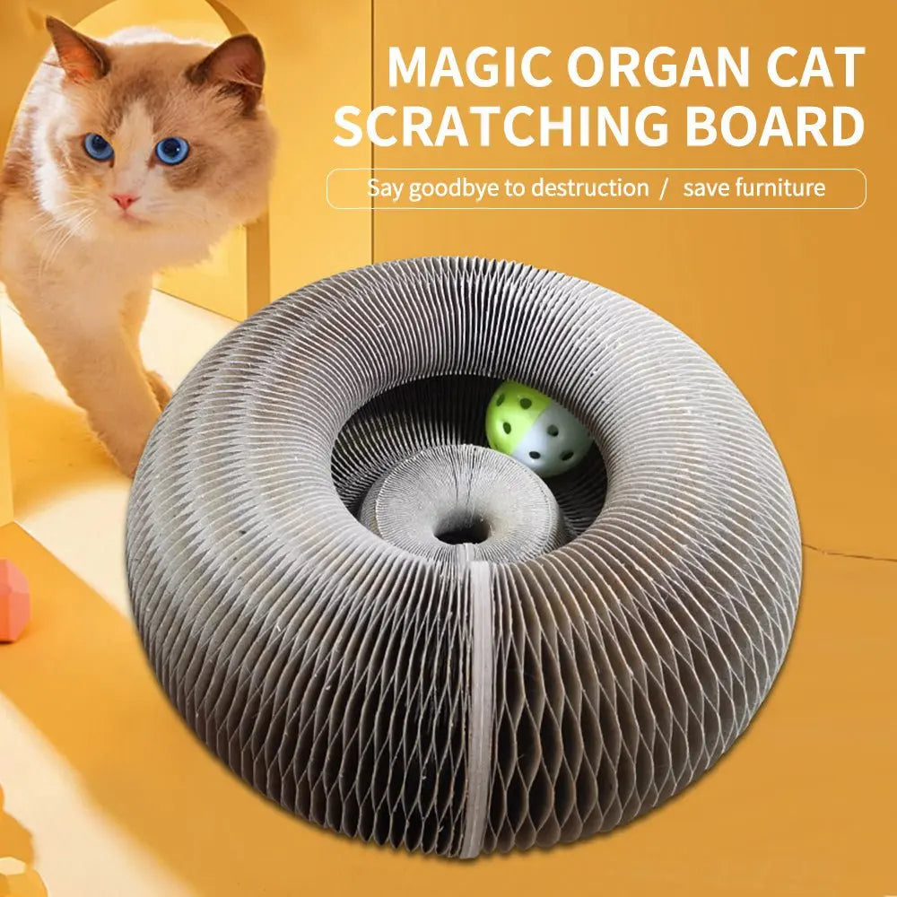 ClawVista™ Fold & Play Scratch Board — Turn Your Cat’s Claws Into Happy Play, Not Furniture Fury