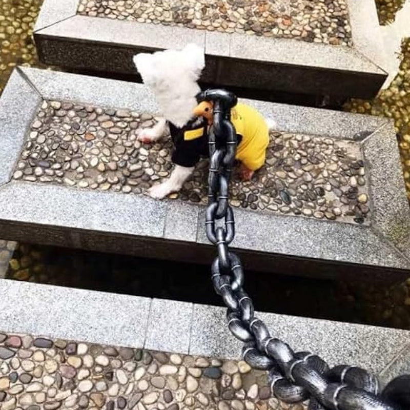 ChicPaw™ — Unleash Stylish Freedom and Confidence on Every Walk