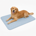 GlacierPaw™ — Ultimate Cool Comfort That Turns Heat Into Happy Calm