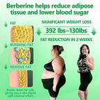 Celestiva™ 6-in-1 Nano Microneedle Patch — Ignite Your Fat Burn and Reveal Youthful, Radiant Skin Instantly