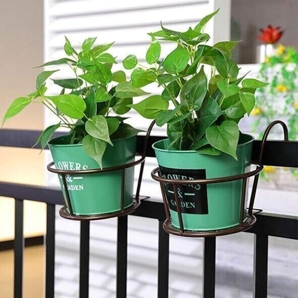 Lumecrest™ — Make Your Plants the Center of Attention Without the Hassle