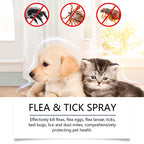 ProtectraMist™ — Instantly Soothe Itchy Skin and Keep Pesky Pests Far Away
