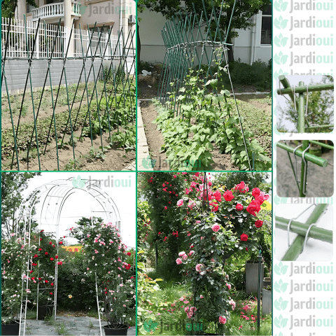 TitanLoop™ — Unbreakable Support That Makes Your Garden Thrive and Shine