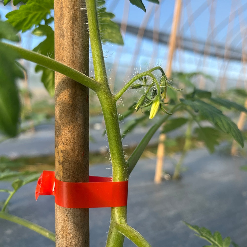 VineGuard™ — Effortless Plant Support for a Garden That Thrives and Wows