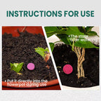 VitaRoot™ — Unlock Rapid, Lush Growth with Effortless, All-Natural Feeding