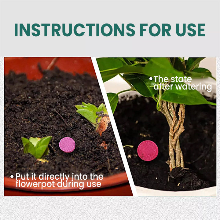 VitaRoot™ — Unlock Rapid, Lush Growth with Effortless, All-Natural Feeding