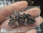 VerdantEase™ Seeds — Watch Your Darkest Corners Burst into Lush, Colorful Life with Zero Hassle