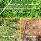 VerdantaShield™ — Crush Weeds Fast and Fuel Your Biggest, Healthiest Harvest Yet