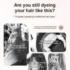 Chromaflair™ — Effortless Salon-Perfect Color That Makes You Shine with Confidence