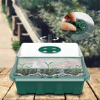 LuminaSprout™ — Watch Your Seedlings Explode to Life with Perfect Light and Care