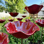 FloraPulse™ — Turn Your Garden into a Vibrant Haven That Life Can’t Resist