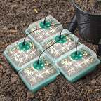 LuminaSprout™ — Watch Your Seedlings Explode to Life with Perfect Light and Care