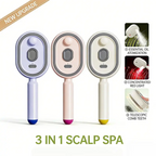 Hydrallure™ Spray Air Cushion Massage Comb — Unlock Silky, Stress-Free Hair That Radiates Confidence