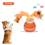 ProwlPulse™ — Unleash Your Cat’s Inner Hunter for Endless Thrilling Play