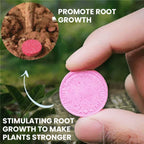 VitaRoot™ — Unlock Rapid, Lush Growth with Effortless, All-Natural Feeding