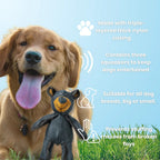 FangFort™ — Tough Play That Keeps Teeth Clean and Tails Wagging