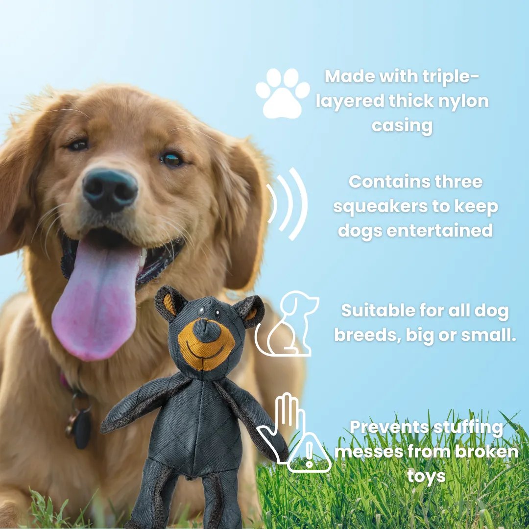FangFort™ — Tough Play That Keeps Teeth Clean and Tails Wagging