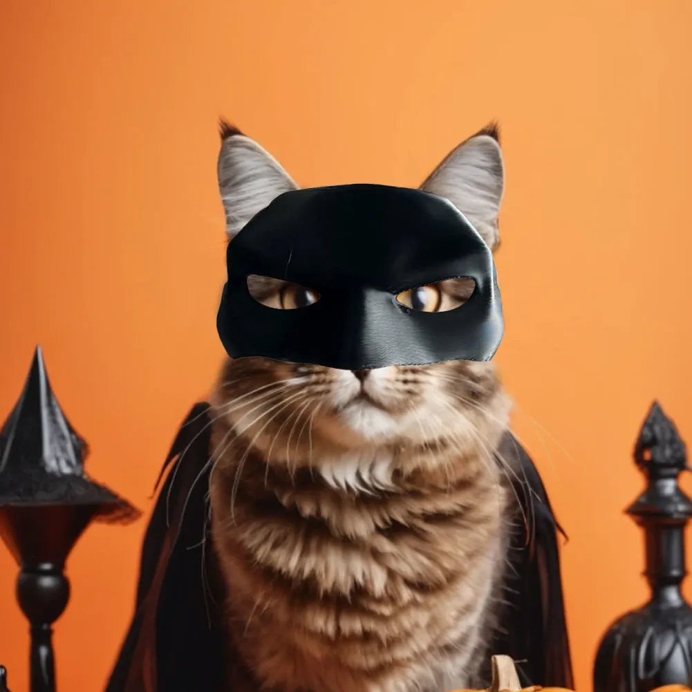 NightProwler™ — Ignite Boldness and Make Every Moment Your Cat’s Legendary Spotlight