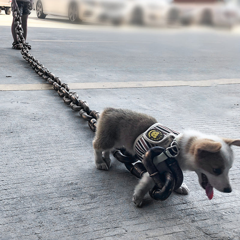 ChicPaw™ — Unleash Stylish Freedom and Confidence on Every Walk