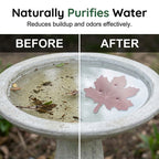 AquaLeaf™ — Transform Your Bird Bath Into a Sparkling Haven That Invites Life and Joy