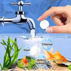 NeptunePure™ — Watch Your Aquarium Burst With Vibrant, Crystal-Clear Life Every Day