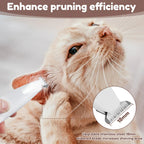 PawVanta™ — Keep Your Pet’s Paws Happy, Healthy, and Adventure-Ready