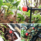 HydroScript™ — Take Command of Every Drop for Thriving, Lush Growth