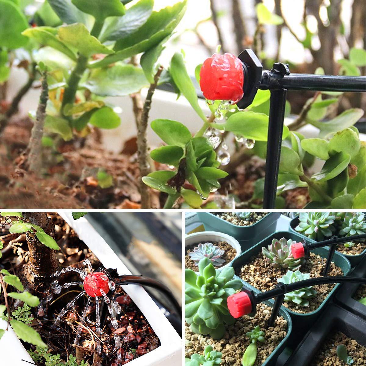 HydroScript™ — Take Command of Every Drop for Thriving, Lush Growth