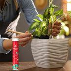 VitaRoot™ — Unlock Rapid, Lush Growth with Effortless, All-Natural Feeding