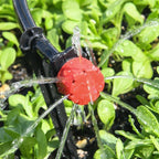 HydroScript™ — Take Command of Every Drop for Thriving, Lush Growth